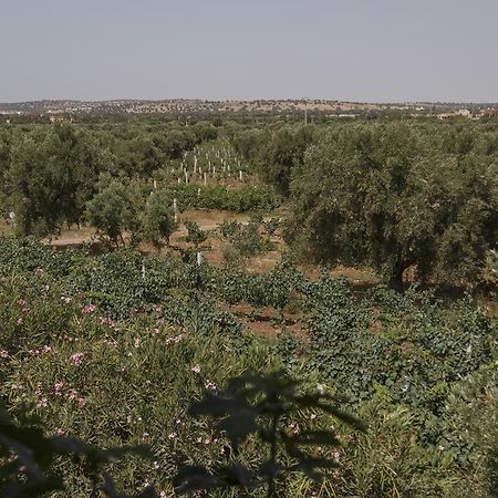 Ounara Ryad De Vignes " Le Val D'Argan " מראה חיצוני תמונה