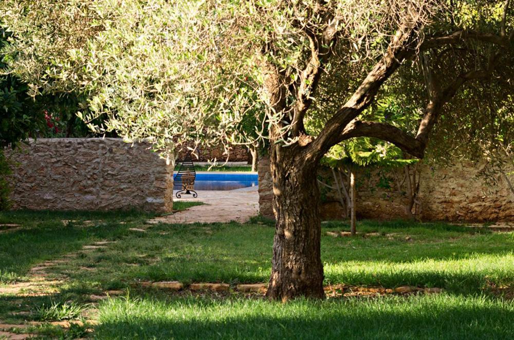Ounara Ryad De Vignes " Le Val D'Argan " מראה חיצוני תמונה