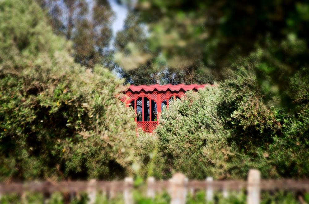 Ounara Ryad De Vignes " Le Val D'Argan " מראה חיצוני תמונה