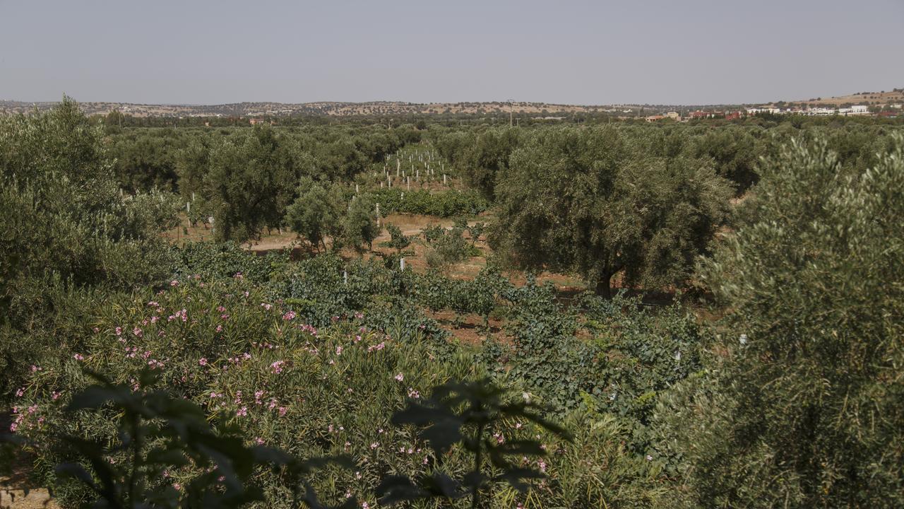 Ounara Ryad De Vignes " Le Val D'Argan " מראה חיצוני תמונה
